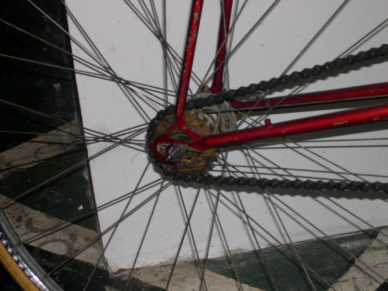 DSCN1122.JPG